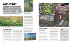 Innenansicht 6 zum Buch Grünes Gartenwissen. Ökologisch gärtnern