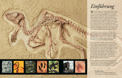 Dinosaurier und andere Tiere der Urzeit für clevere Kids Lexikon it
über 1500 farbigen Abbildungen PDF Epub-Ebook