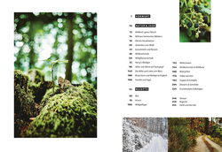 Innenansicht 1 zum Buch Wild – Wald – Genuss