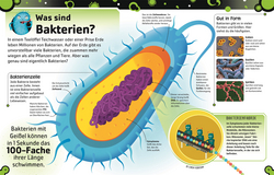 Innenansicht 2 zum Buch Superstark & Superschlau. Bakterien und Viren