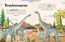 Innenansicht 9 zum Buch Mein liebstes Buch der Dinosaurier und anderer Lebewesen der Urzeit