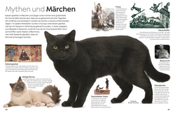 Innenansicht 7 zum Buch memo Wissen. Katzen