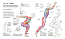 Innenansicht 6 zum Buch Schwimmen - Die Anatomie verstehen